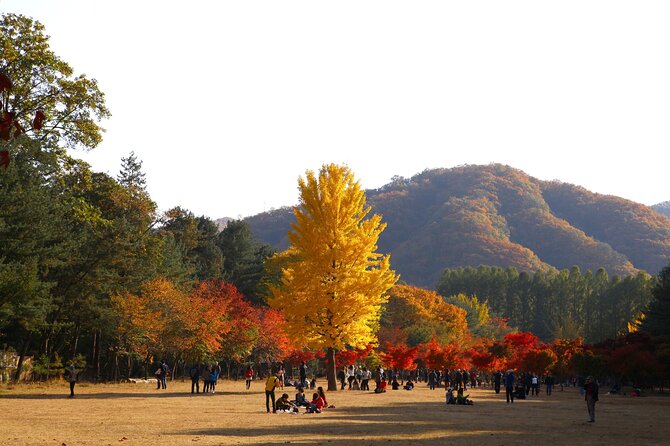 [Cherry Blossom] Seoul to Gyeongju Round Trip - Must-See Attractions