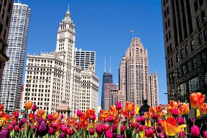 Chicago Private Custom City Tour With Hotel Pick up - Traveler Experience