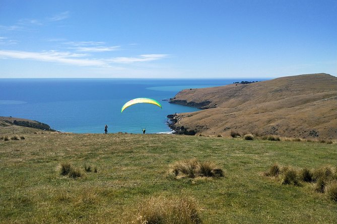 Christchurch Coastal Hiking Tour - Inclusions and Exclusions