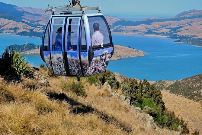 Christchurch Gondola Ride Ticket - Experience Highlights