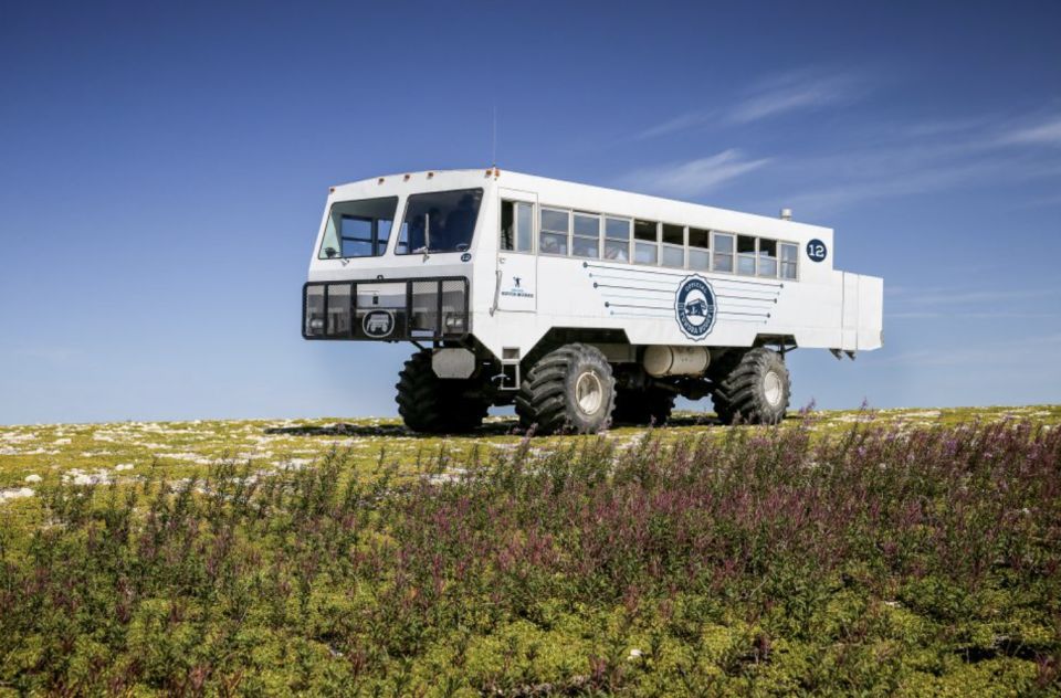 Churchill: Exclusive Tundra Buggy Day Trip - Booking Details