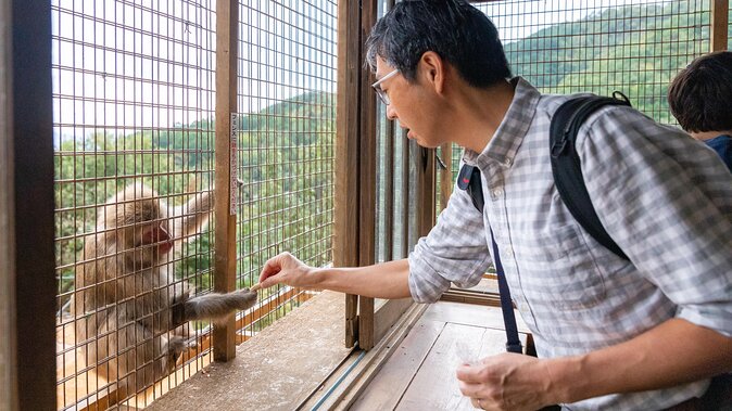 City Escape: Arashiyama Park Private Day Trip - Tour Pricing