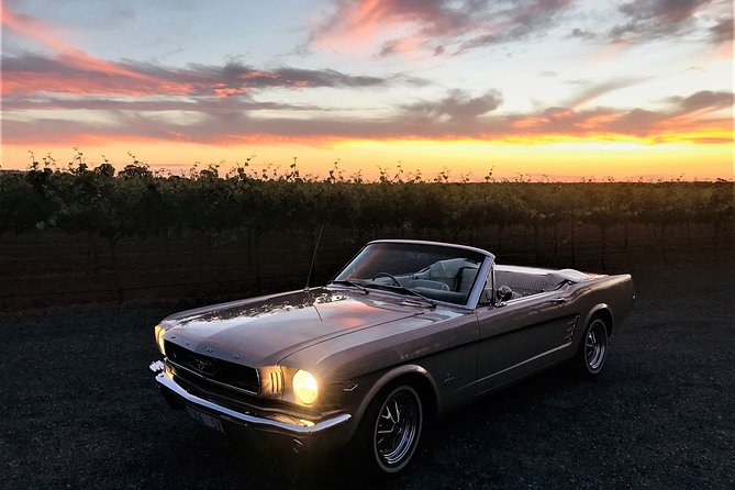 Classic Mustang Convertible Barossa Valley Half Day Private Tour For 2 - Participant Requirements