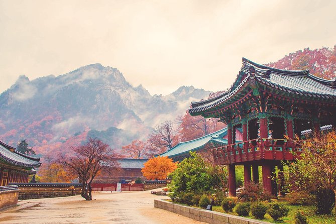 Classic Naejangsan National Park One Day Tour (Autumn Limited） - Customer Interaction