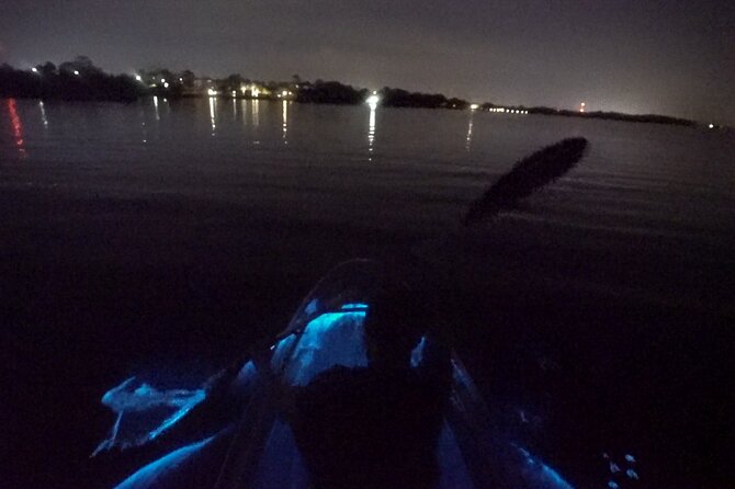 Clear Kayak Bioluminescence Tour - Tour Logistics