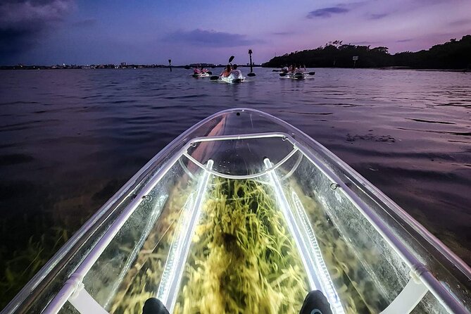 Clear Kayak LED Night Glass Bottom Tour - Sarasota - Tour Details and Accessibility