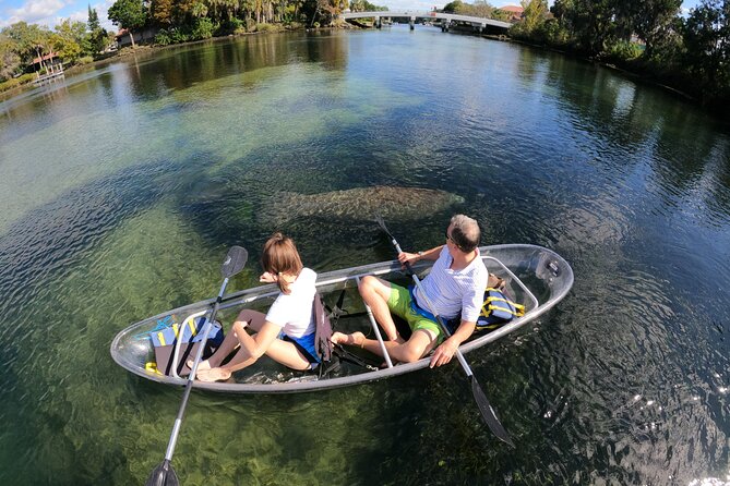 Clear Kayak Manatee Ecotour of Crystal River - Inclusions