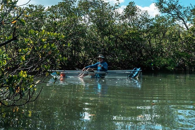 Clear Kayak Tours in Fort Pierce - Additional Information
