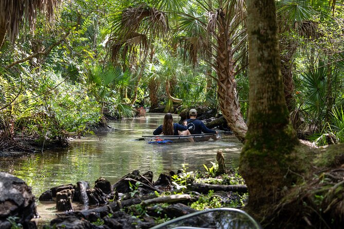 Clear Kayak Tours on Chassahowitzka River - Key Points