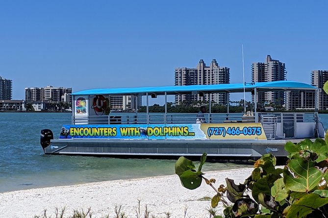 Clearwater Encounters With Dolphins Tour - Tour Logistics