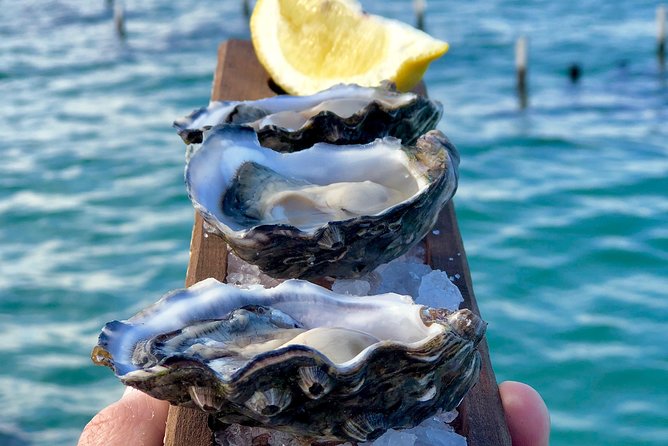 Coffin Bay Oysters, Ocean & Nature Tour - Group Size and Logistics