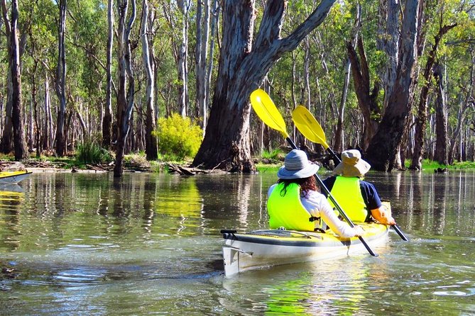 Cohuna Lagoon 3 Hour Kayak Eco Tour - Booking Information