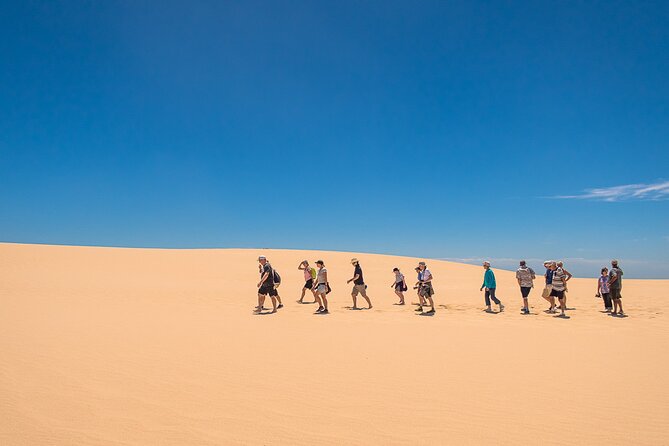 Coorong 6-Hour Adventure Cruise - Guided Walks
