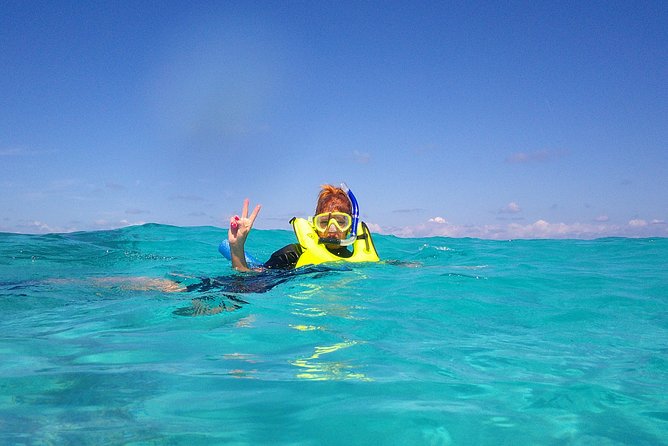 Coral Reef Private Snorkel Tour Out to John Pennekamp Coral Reef State Park - Logistics