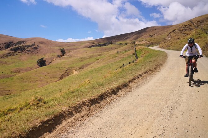 Coromandel Coastal Walkway: Full-Day Hike and Bike Tour - Inclusions