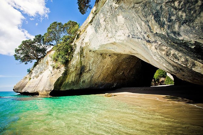 Coromandel Peninsula Highlights Small Group Tour From Auckland - Logistics