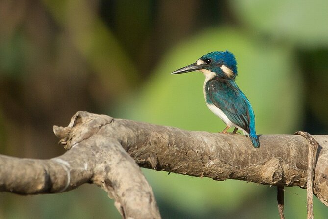 Corroboree Billabong 2.5 Hour Lunch Cruise - Additional Information