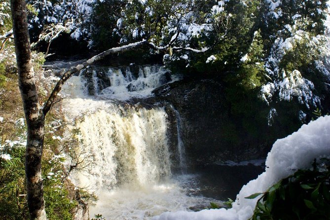 Cradle Mountain Day Tour From Launceston Including Lunch - Weather Policy and Cancellation