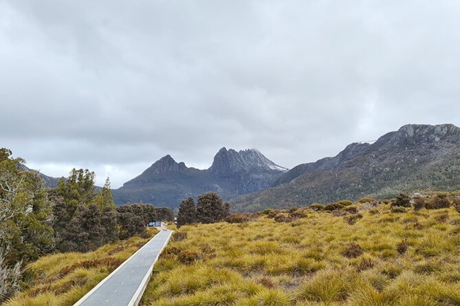 Cradle Mountain National Park Day Tour From Launceston - Pickup Details and Cancellation Policy