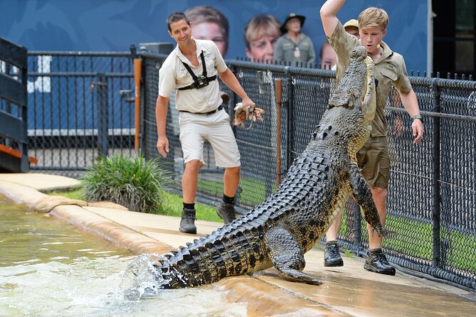 Croc Express to Australia Zoo From Brisbane HB7 - Additional Guidelines