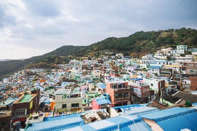 Cruise Layover : Small Group Busan Essential Tour - Tour Experience