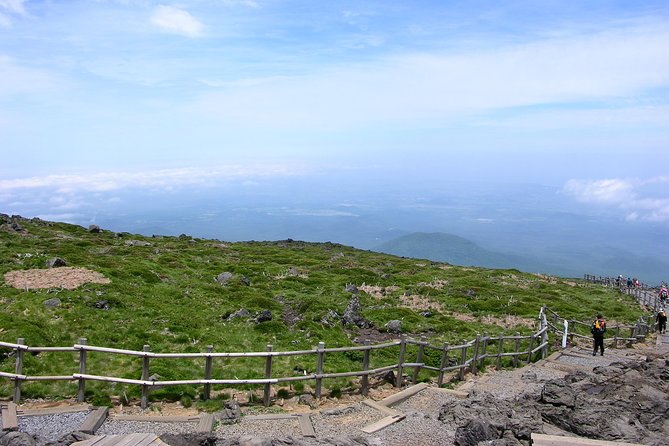 Customized Private JEJU Hiking Tour for 7 Days (Mt. Hallasan and Olle Course) - Pricing Information