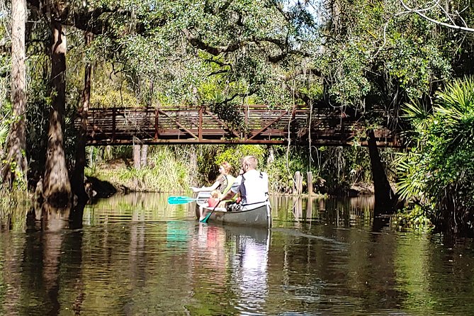 Cypress Forest Guided Kayak Nature Eco-Tour - Cancellation Policy