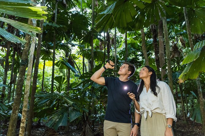 Daintree Afternoon Nocturnal Nature and Wildlife Tour - Wildlife Spotting Opportunities