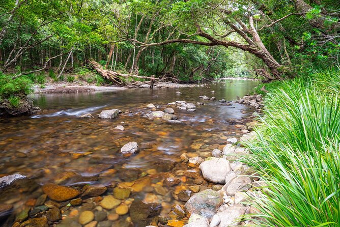 Daintree Rainforest Waterfall and Beach Hiking Day Tour  - Port Douglas - Tour Inclusions