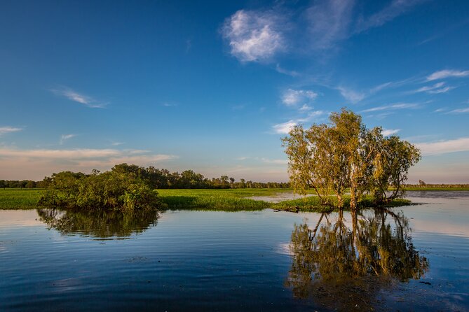 Darwin to Kakadu Day Trip by Air Including Yellow Water Cruise - Customer Reviews and Highlights