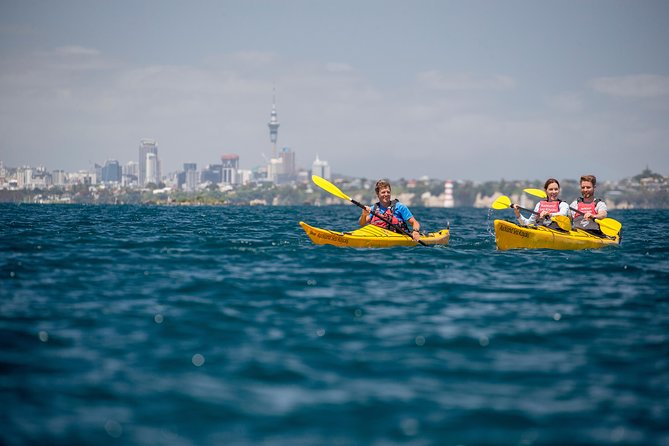 Day Sea Kayak Tour Rangitoto Island - Tour Requirements and Policies