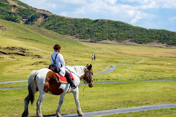 Day Trip Charter Bus Tour to Great Nature Mt.Aso From Fukuoka - Activity Options