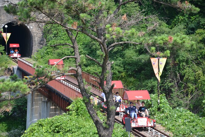 Day Trip to Nami Island With Rail Bike and the Garden of Morning Calm - Customer Reviews and Ratings