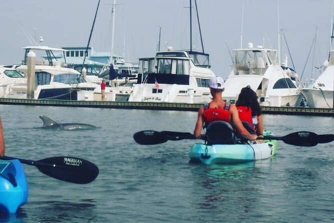 Deluxe Dolphin Kayak Tour - Assistance and Information Details