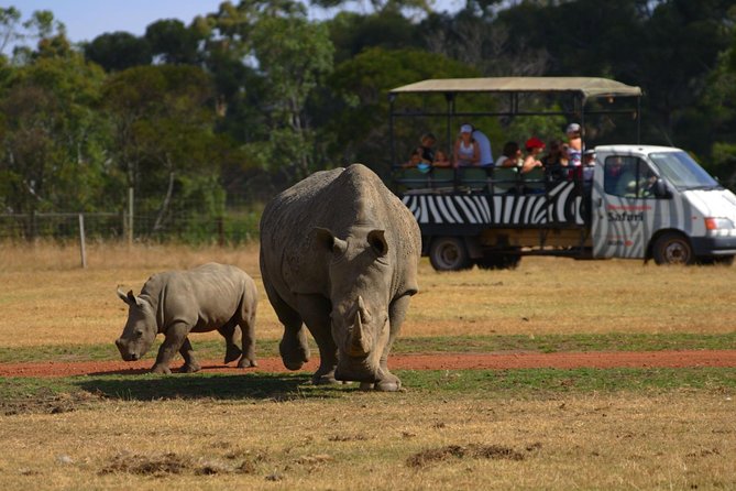 Deluxe Safari Adventure at Werribee Open Range Zoo - Excl. Entry - Accessibility Information