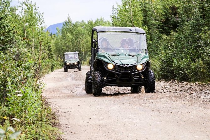 Denali ATV Trailblazer 3.5 Hour Tour - Duration and ATV Exploration