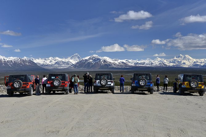 Denali Highway Jeep Excursion - Unforgettable Denali Highway Scenery