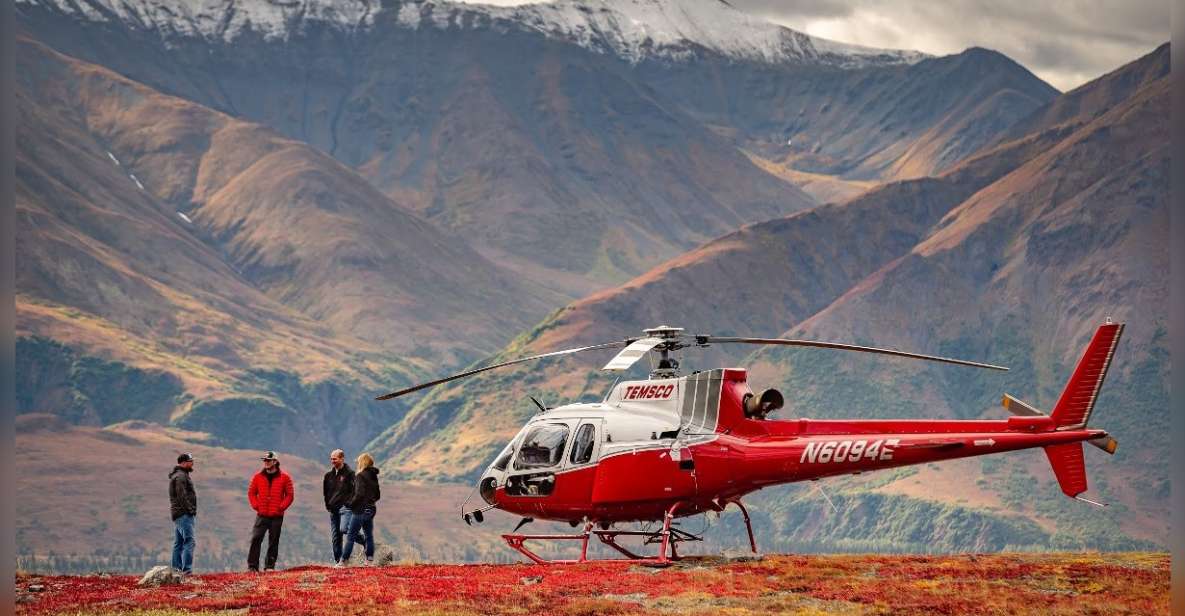 Denali National Park: Helicopter and Hike Adventure - Experience Highlights