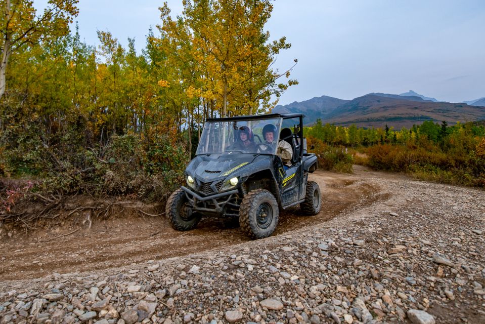 Denali National Park: Wilderness ATV Adventure - Tour Description