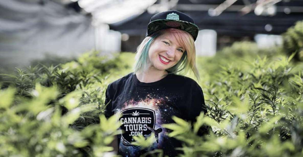 Denver: Private Luxury Cannabis Tour - Full Description