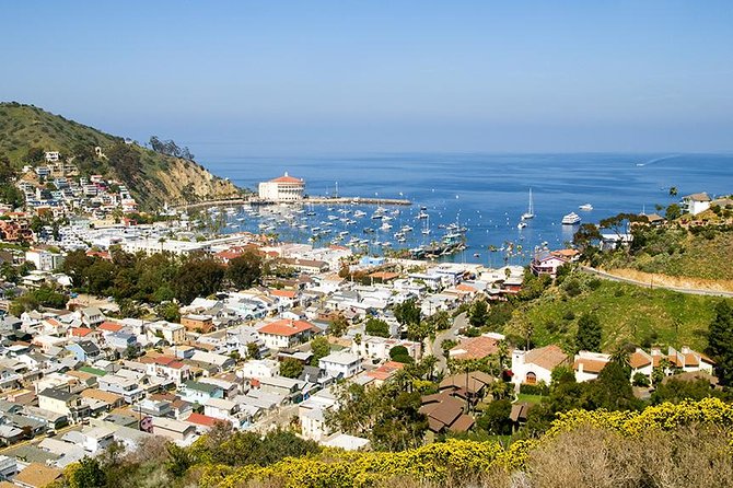 Discover Avalon: Catalina Scenic Tour - Inclusions