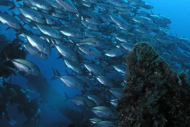 Dive at Tulamben Bali USS Liberty Ship Wreck - Tour Inclusions and Pricing