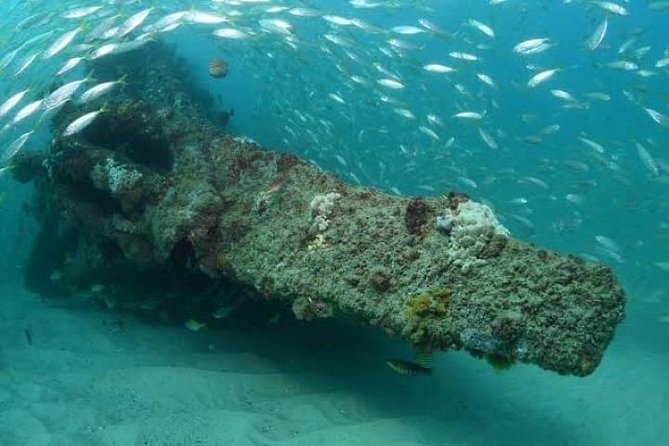 Dive the Scottish Prince Shipwreck - Inclusions and Expectations