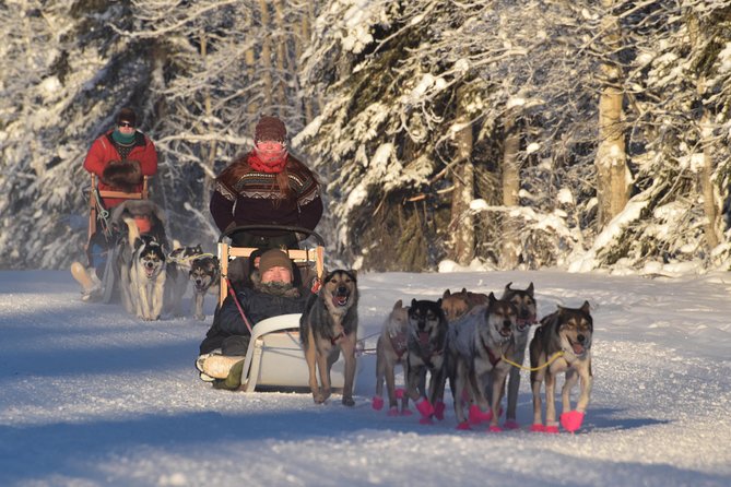 Dog Sledding and Mushing Experience in North Pole - Cancellation and Refund Policy