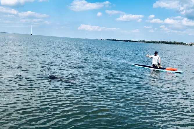 Dolphin and Manatee Adventure Tour of Merritt Island - Cancellation Policy