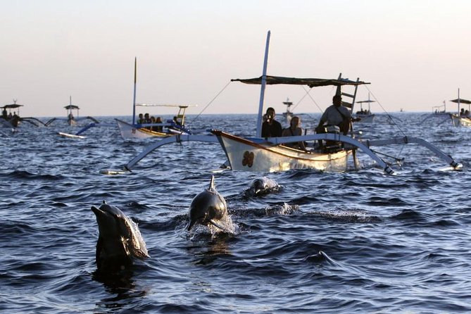 Dolphin Tour and Sunrise Watching in Lovina Beach - All Inclusive - Breakfast at Local Restaurant