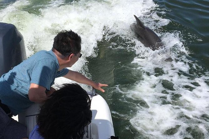 Dolphin Tours - Fort Myers Beach / Naples - Cancellation Policy
