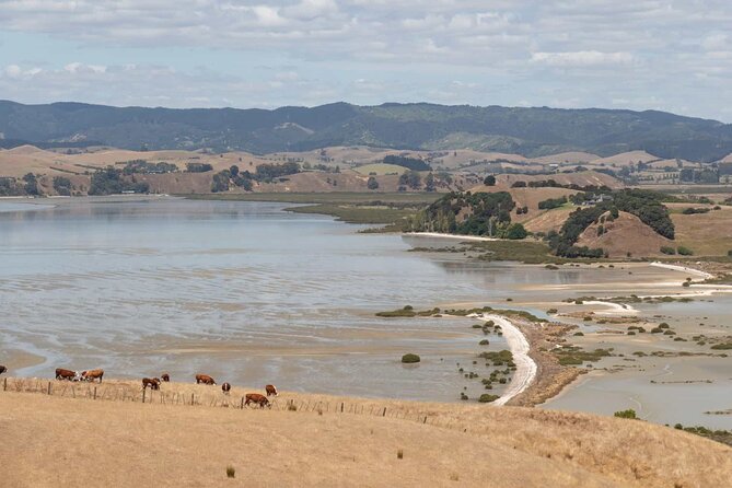 Duder Regional Park Half-Day Walking Tour - Tour Duration