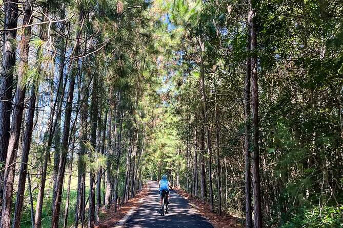 E Bike Hire - Northern Rivers Rail Trail - Self Guided Tour - E Bike Rental Options