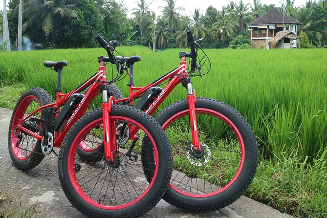 Electric Bike Tour in Ubud - Reviews